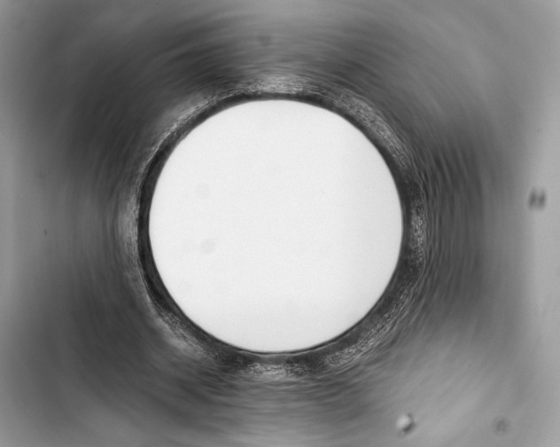 X0000103480534200810031545