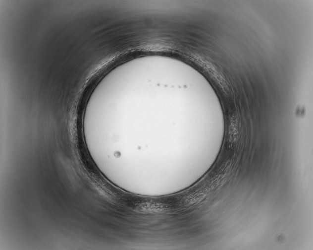 X0000103480535200810031545