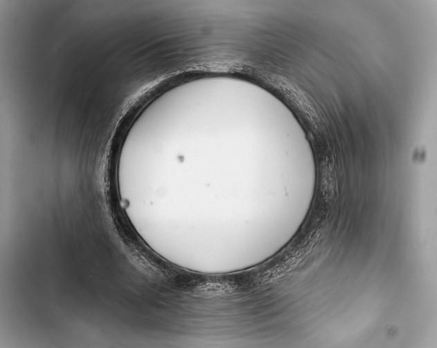 X0000103480536200810031545