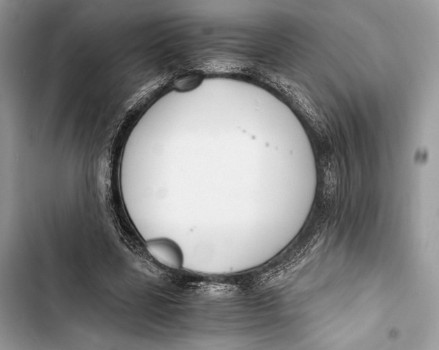 X0000103480539200810031545