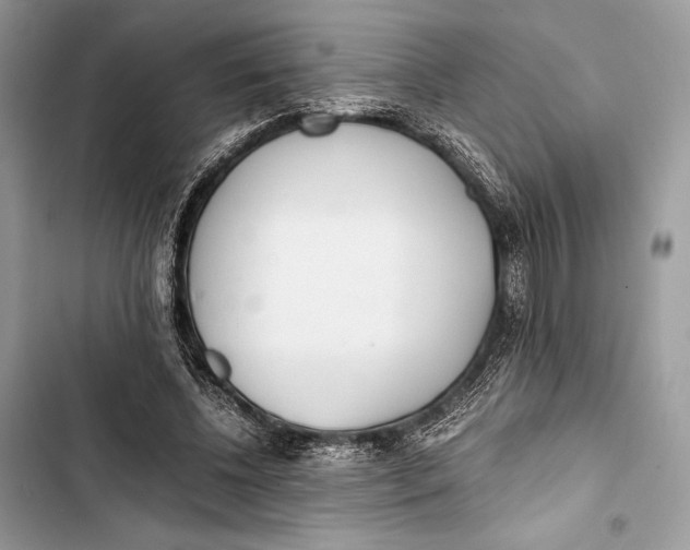 X0000103480540200810031545