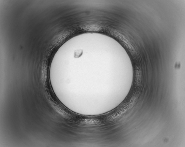 X0000103480541200810031545