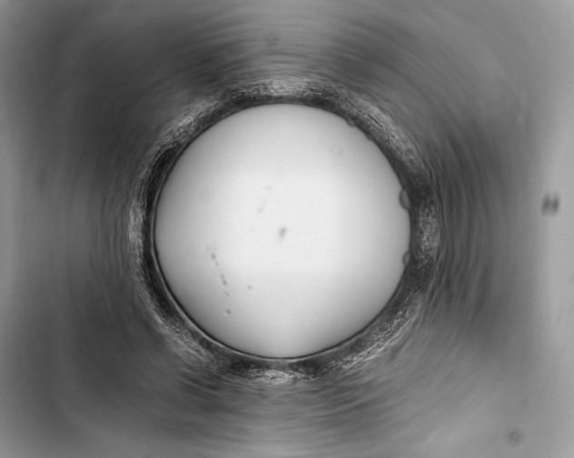 X0000103480542200810031545