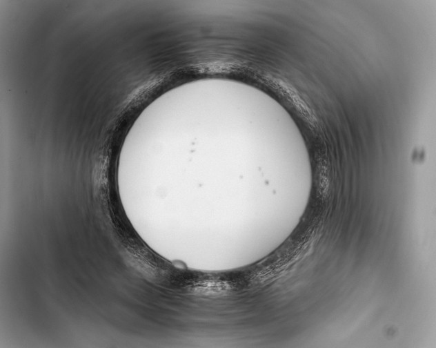 X0000103480543200810031545