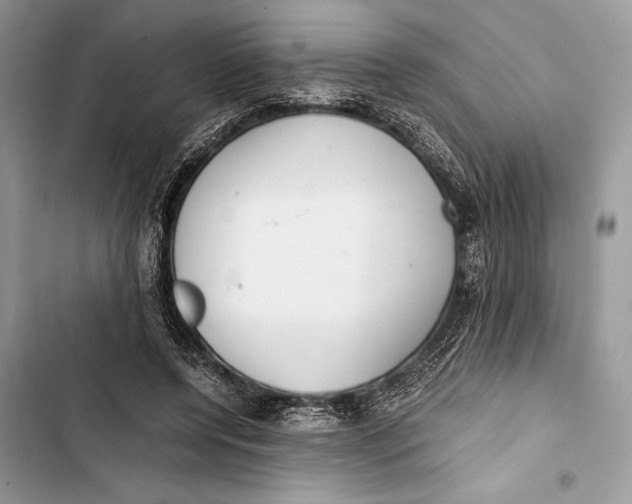 X0000103480544200810031545