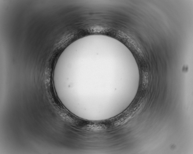 X0000103480545200810031545