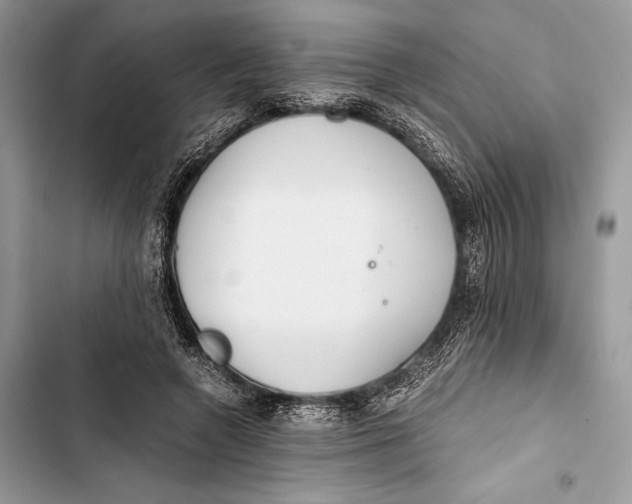 X0000103480546200810031545