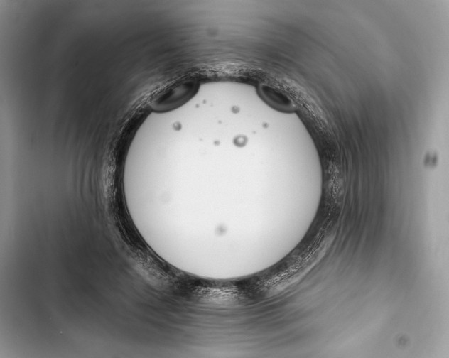 X0000103480548200810031545