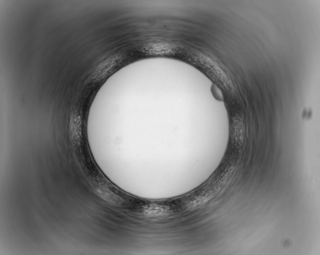 X0000103480549200810031545