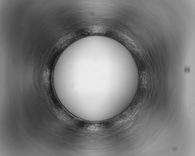 X0000103480550200810031545