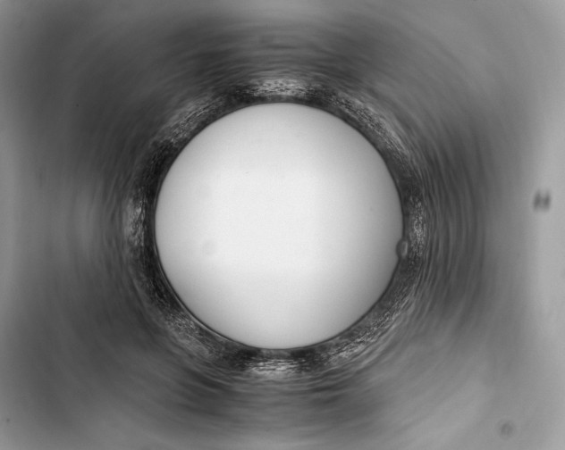 X0000103480551200810031545