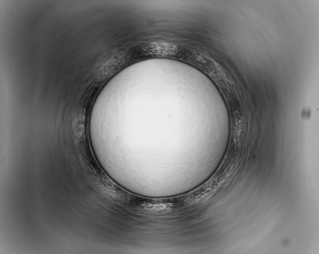 X0000103480553200810031545