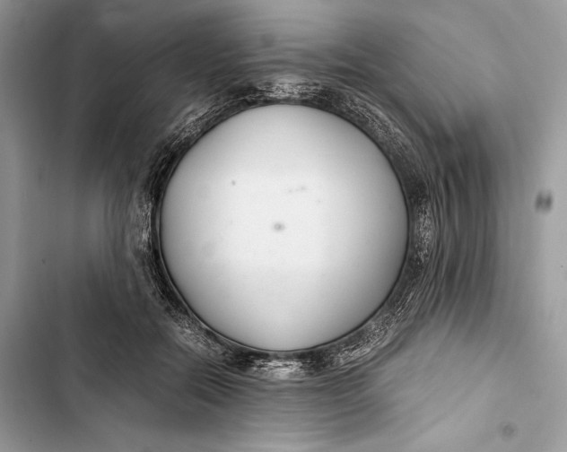 X0000103480554200810031545