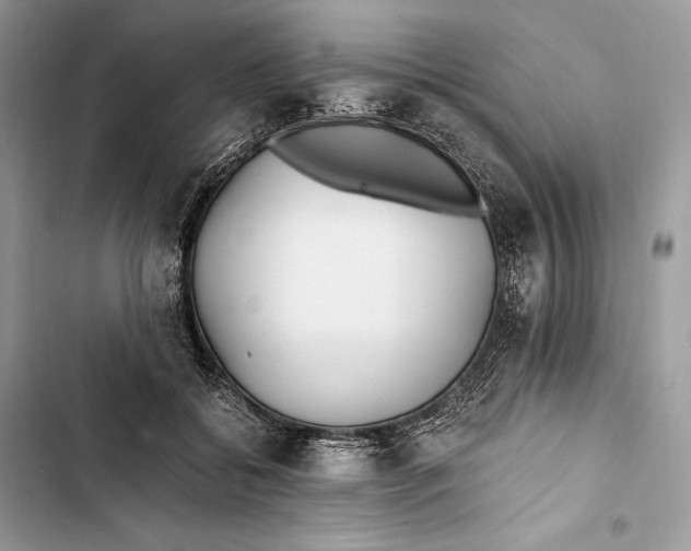 X0000103480556200810031545