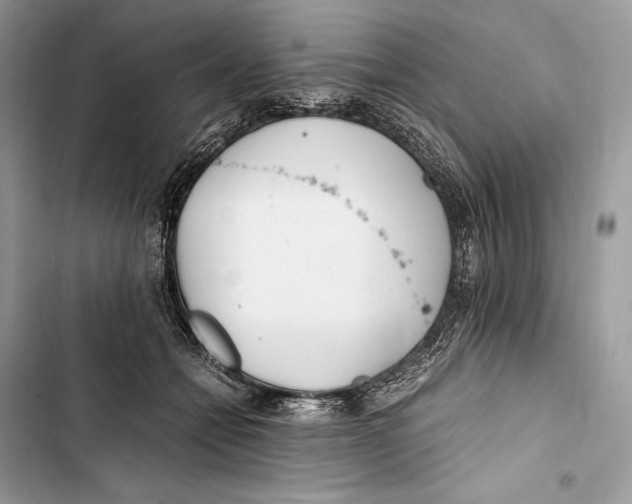 X0000103480558200810031545