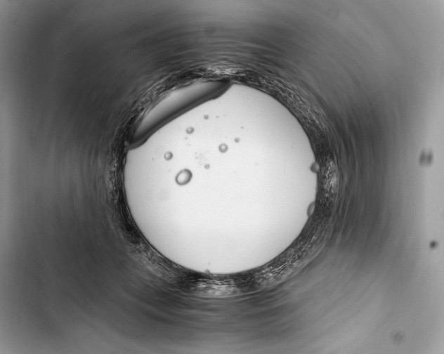 X0000103480559200810031545