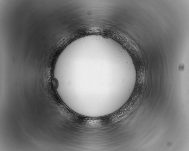 X0000103480560200810031545