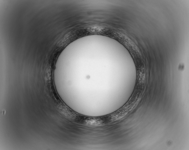 X0000103480561200810031545