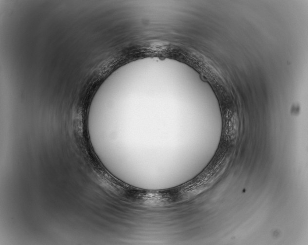 X0000103480562200810031545