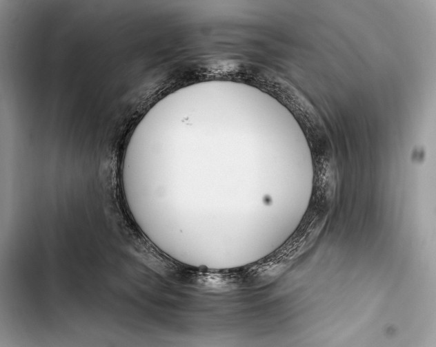 X0000103480565200810031545