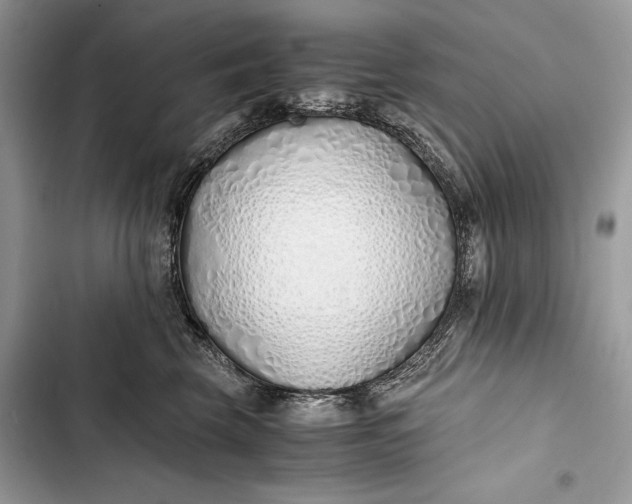 X0000103480569200810031545