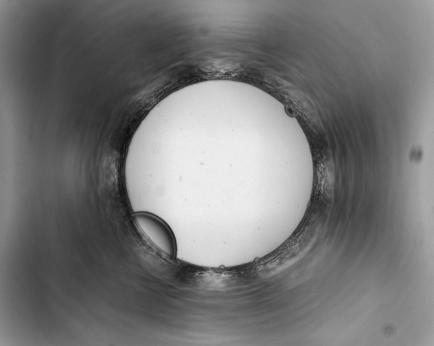 X0000103480570200810031545