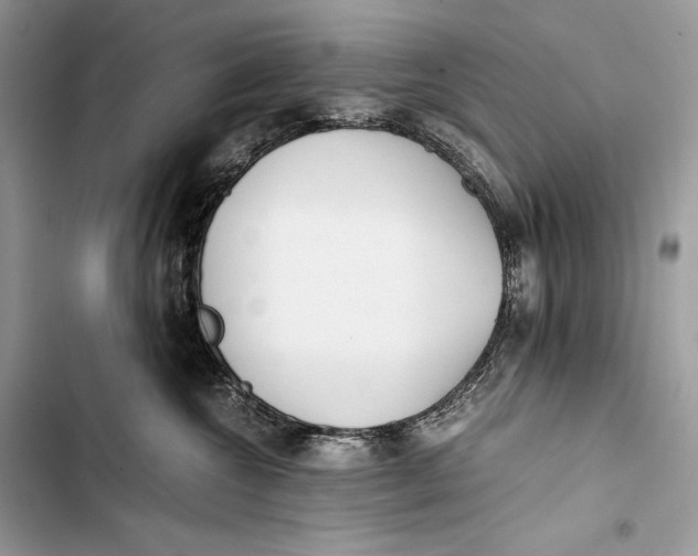 X0000103480572200810031545