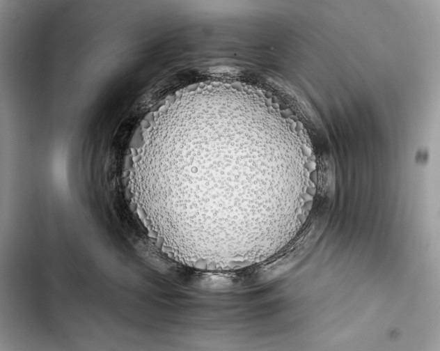 X0000103480573200810031545