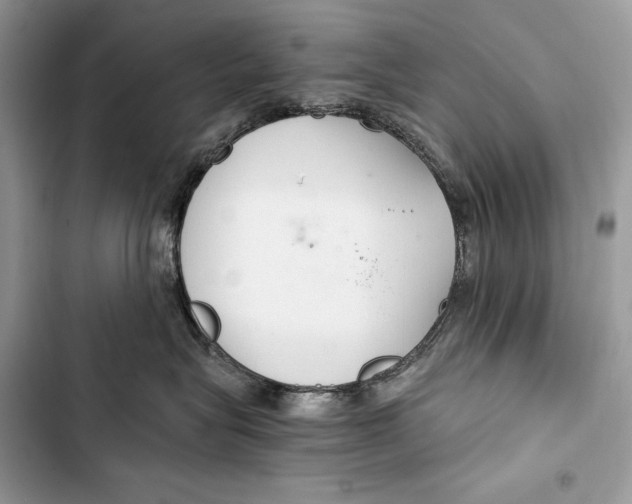 X0000103480575200810031545