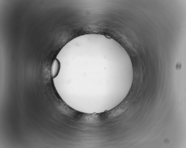 X0000103480576200810031545