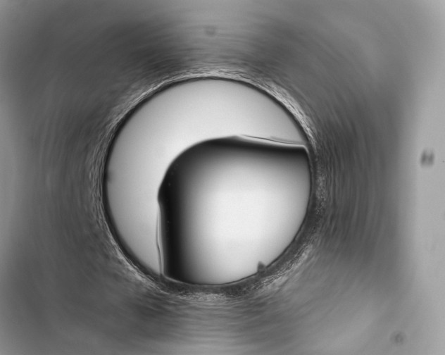 X0000103480577200810031545