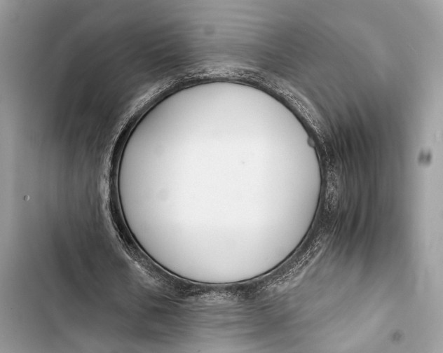 X0000103480578200810031545