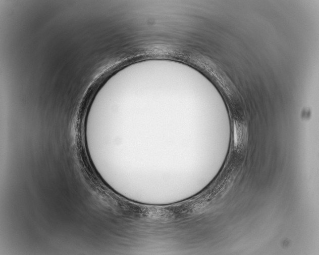 X0000103480579200810031545