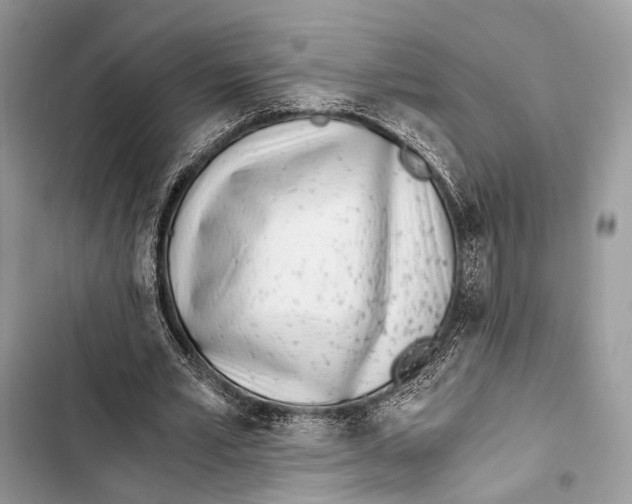 X0000103480581200810031545