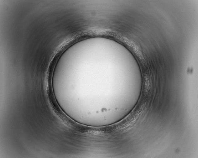 X0000103480582200810031545