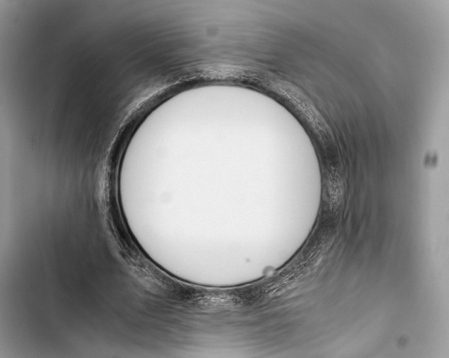 X0000103480583200810031545