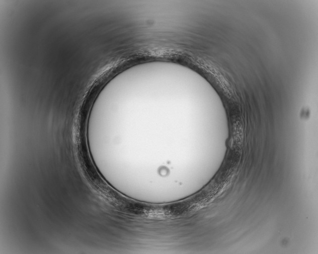 X0000103480587200810031545