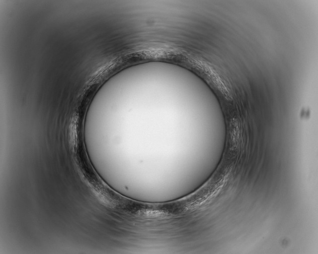 X0000103480590200810031545