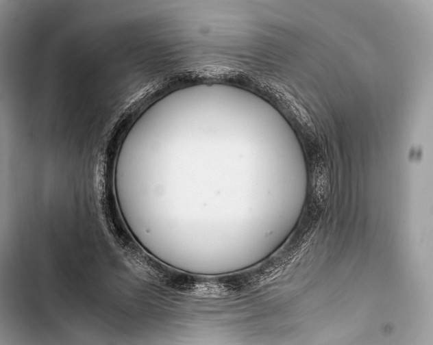 X0000103480591200810031545