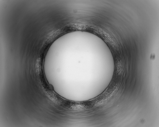 X0000103480594200810031545