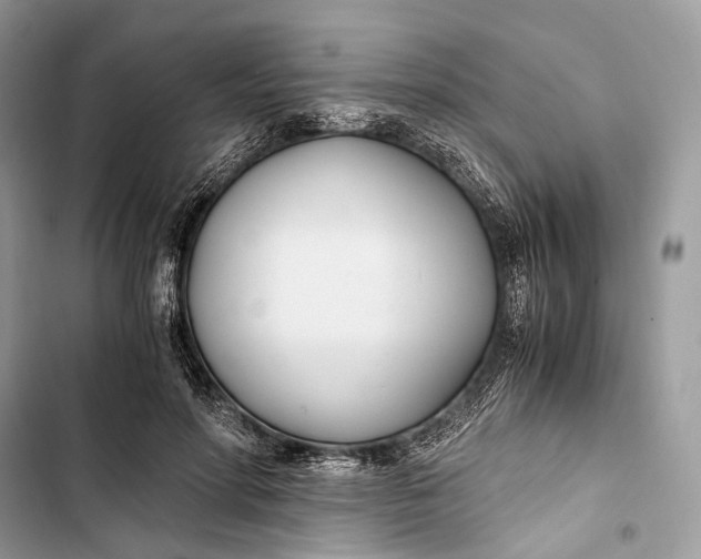 X0000103480598200810031544