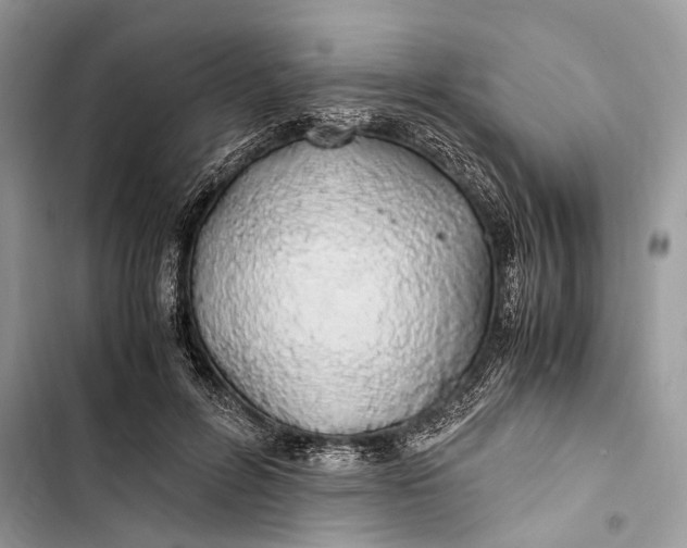 X0000103480600200810031544