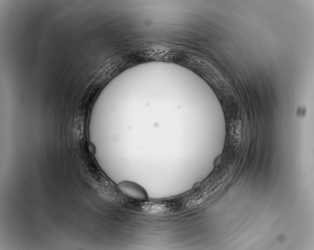 X0000103480602200810031544