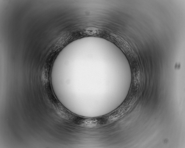 X0000103480606200810031544