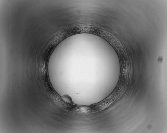 X0000103480610200810031544