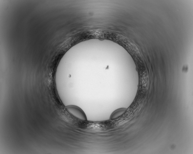 X0000103480611200810031544