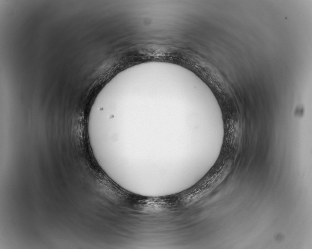 X0000103480612200810031544