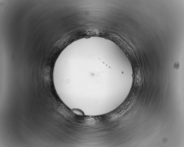 X0000103480616200810031544