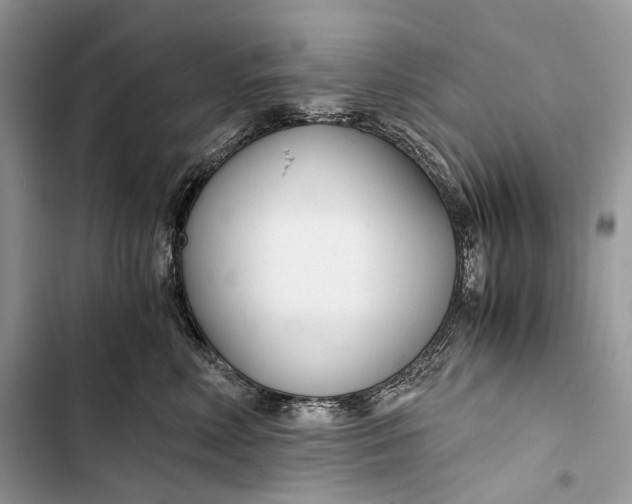 X0000103480618200810031544