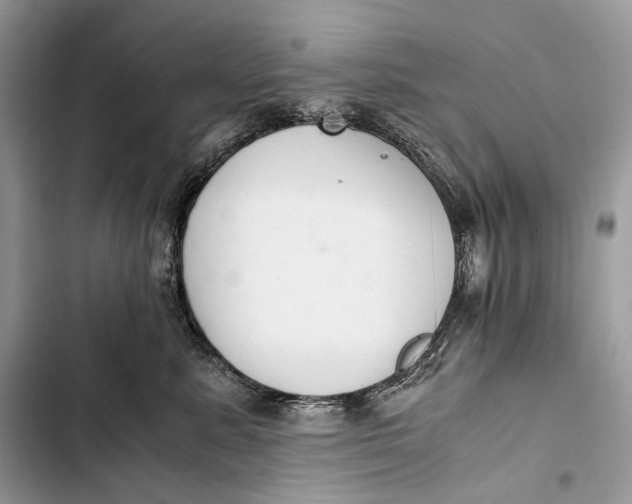 X0000103480619200810031544